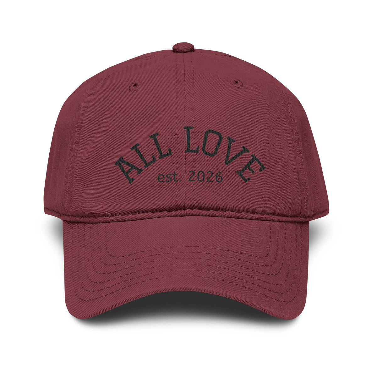 NEW Embroidered Garment Washed Baseball Cap | Level Up | All Love Co