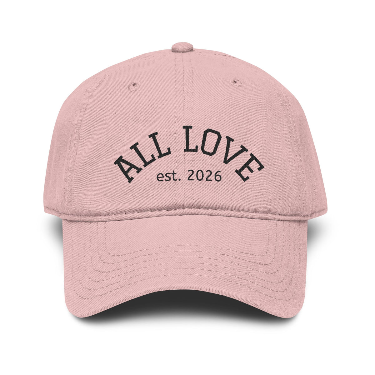 NEW Embroidered Garment Washed Baseball Cap | Level Up | All Love Co