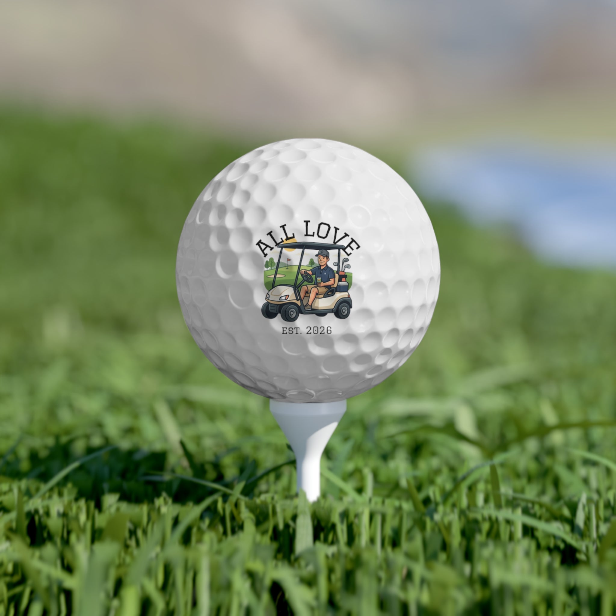 Set of 6 Golf Balls | Drinking Beer, Playing Golf | All Love Co