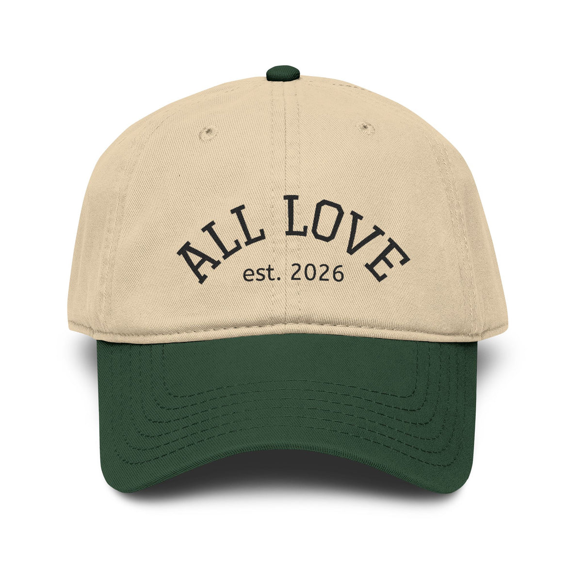 NEW Embroidered Garment Washed Baseball Cap | Level Up | All Love Co